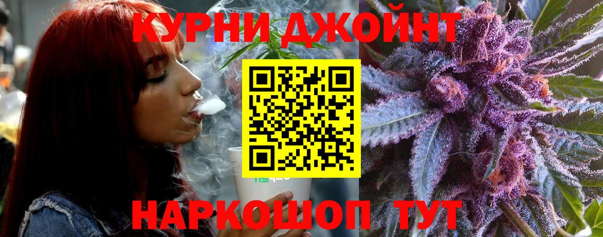 Тамбов  Канабис индика  Марихуана ГИДРОПОН  Вход с VPN  Каннабис конопля  Бошки Шишки Bruce Banner 